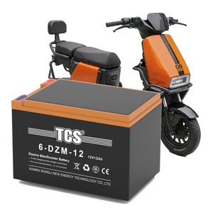 TCS 6-DZM-12 Scooter Electric Bike 12v 12.3 Motorbike Electric Motorcycle Battery