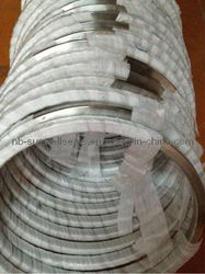 Ring Joint Gasket (Oval, Octagonal, RX, BX Type)