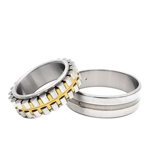 Nn3005 3006 3007 3008K/W33 P5/P4 Double Row Cylindrical Roller Bearing