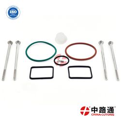 Diesel Fuel Pump Gaskets Kit PLD1d110/520 F00hn37069 for A0120740001 Common Rail Injector