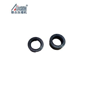 Framework Oil Seal, Reciprocating Piston Gas Compressor, LPG/Natural Gas/CNG Refueling Station/Special Gas Compressor Accessories