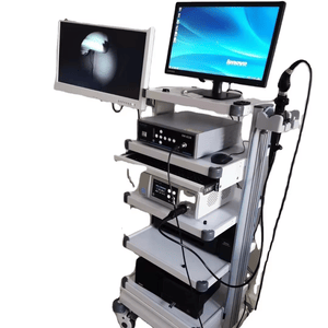 Factory Supply Medical Portable Endoscope Camera Electronic Flexible Video USB Gastroscope Colonoscope