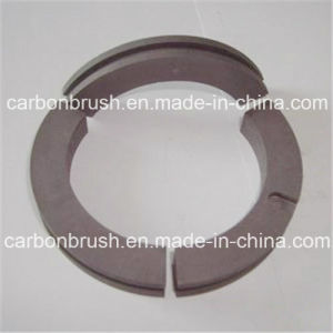 Segmented Carbon Ring Seal for Hydraulic Turbine Steam