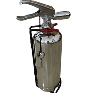 Premium Stainless Steel SUS 304 Fire Extinguisher Foam Extinguishers