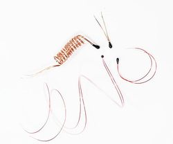 Epoxy-Coated Enamel Wire Ntc Thermistor for Medical Thermometer with High Precision