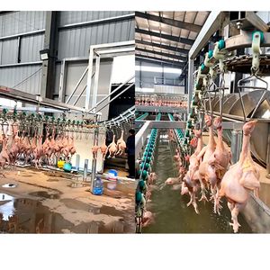Automatic Duck Slaughtering Line Slaughterhouse Equipment for Chicken, Duck, Cow Cattle