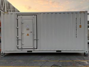Customized Container 20 FT Storage Container