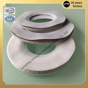 High Temperature and Corrosion Resistant PTFE Coated Gasket