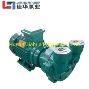 Cast Iron Materials Model No 2BV Blue Color Water Ring Single Stage Stainless Steel Pump Vacuum Pump for Household