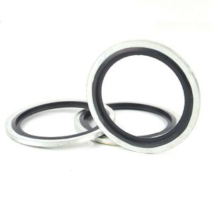 304 Stainless Steel Fluorine Rubber Inch Combination Gasket FKM Seal O-Ring Bonded Washer Imperial Measurement