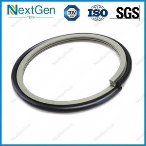 Hydraulic Cylinder PTFE Glyd Piston Seal NBR/FKM OE Rotary Ring Type Seal