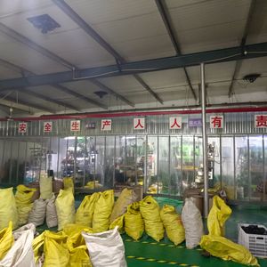 Oil Seal High Quality Machine Tools Accessories