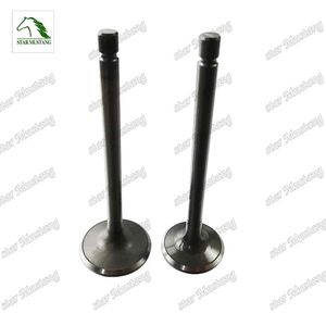 Valve in 8-94133-275-1 Ex 8-94247-875-1 Suitable for Isuzu Engine Parts