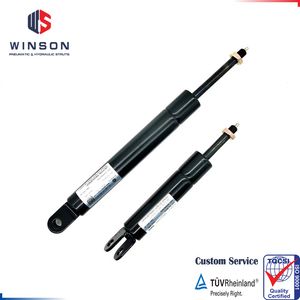 High Quality Lockable Gas Spring Expert