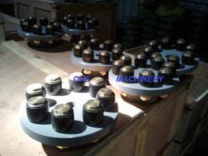 High Quality Flexible FCL Coupling