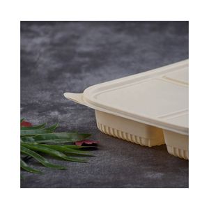 Food Container Disposable Bento Wooden Tiffin Boxes Bagasse Sugarcane Clamshell Takeaway Wood Microwave Biodegradable Lunch Box