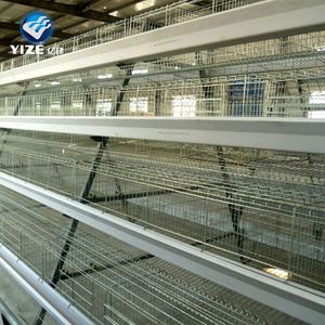 Good Selling Good Quality Poultry Equipment