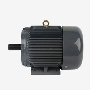 Low Vibration High Speed NEMA Three Phase Aluminum AC Motor
