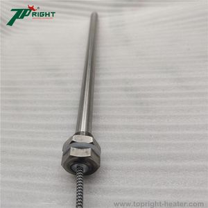 240V 700W Electric Iron Immersion Water Cartridge Heater with Theread