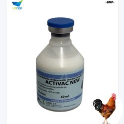 GMP Manufacturer Veterinary Drug Grade Newcastle Disease Vaccine Ndv Vaccine for Poultry Chicken