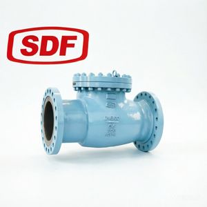 Customized Size Straight Check Valve with 1-Year Warranty Period
