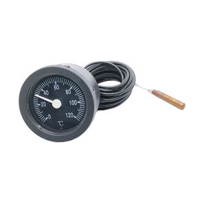 High-Quality Plastic Housing Black Capillary Thermometer 0 - 120°C