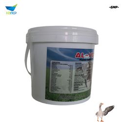Factory Price GMP Manufacturer Veterinary Multi Vitamins Wsp Soluble Powder Nutrition Feed for Livestock Poultry