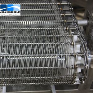 Customized High Quality Stainless Steel 304 316 Compound Balance Spiral Wire Mesh Belts for Vegetable Washing