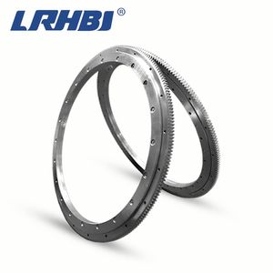 Bearings with External Tooth Xesa Xrsu Xrsi Xru Series Slewing Bearing for Filling Machine Turntable Mini Excavator