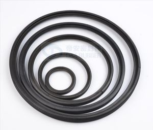 Performance FKM Rubber Seals