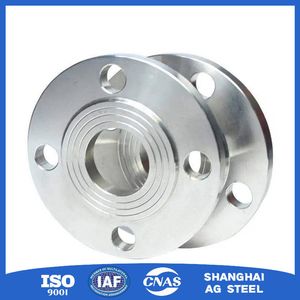 Durable Stainless Steel Forged Carbon Flange for Processing Equipment Connections