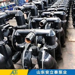 Auto Drainage Bqgz Pneumatic Diaphragm Pump Unmanned Operation