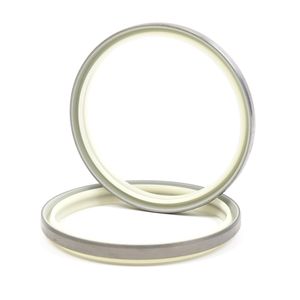 Dkbi-High Quality Good Performance Dust Seal Scraper Seal