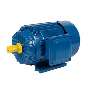Ye3 Series Constant Speed Three Phase Asynchronous Electric Motor with Cast Iron Housing