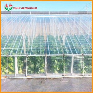 High Transparent Single or Double Film Greenhouse for Vegetable/Flower