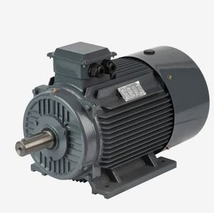 IE3 High Efficiency Three Phase Cast Iron Industrial AC Induction Motor