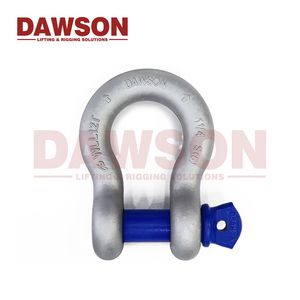 Dawson Hot DIP Galvanized Us Type Screw Pin Bow Shackle for Lifting