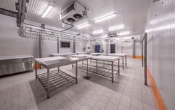 Slaughterhouse Cold Storage Room Process Room for Chicken