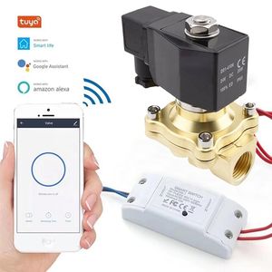 Factory Direct Sales DN08-DN50 Mobile Phone Remote Control Wi-Fi Function Normally Closed Brass Solenoid Valve for Water Control