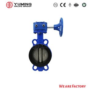 EPDM/NBR Lined Wafer Soft Seal Worm Gear Butterfly Valve