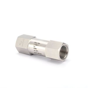 G 3/4" Internal Thread Stainless Steel High-Pressure Check Valve