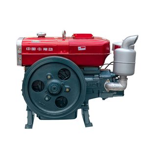 Small Diesel Engine with Single Cylinder (ZS1105G)
