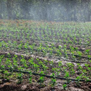 Agricultural Irrigation System Spray Rain Hose Rain Pipes Irrigation Spray Tube