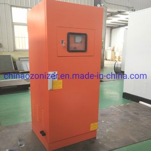 1m3/H High Cencentration Ozone Water Equipment for Water Treatment, Aquaculture, Sterilization, Semiconductor Industry