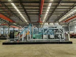 Customization Options for High Flow Rate Natural Gas Compressor