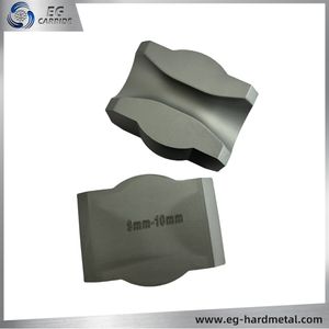 Custom-Made Shaped Tungsten Carbide Customized Dies Parts Mold Seat Tools