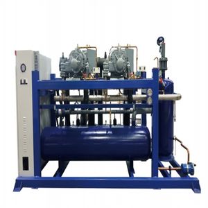Hot Sale Refrigeration Screw Condensing Unit for Cold Storage Room
