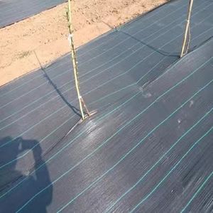 Premium Non-Woven Geotextile Mat for Gardening and Agriculture