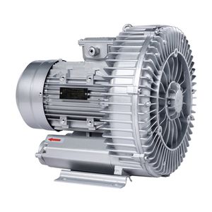 Hot Sale 3kw High Pressure Electric High Flow Air Pump Ring Blower for Aquaculture