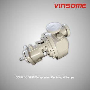 Goulds 3796 Horizontal Single-Stage Self Priming Centrifugal Water Pump